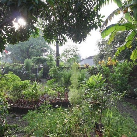 Bhumi Hostel Yogyakarta Exterior foto